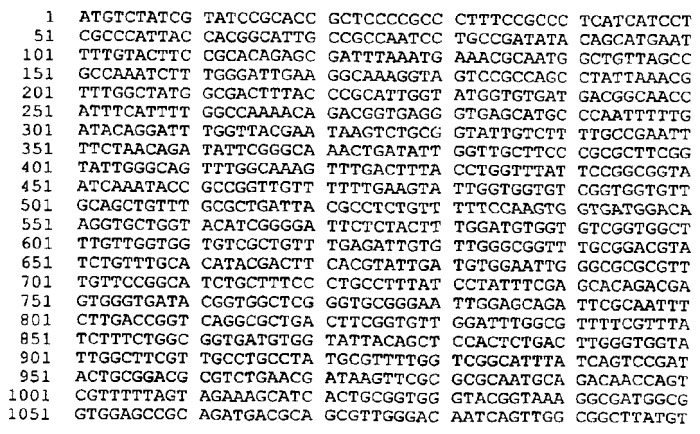 Антигены neisseria meningitidis (патент 2343159)