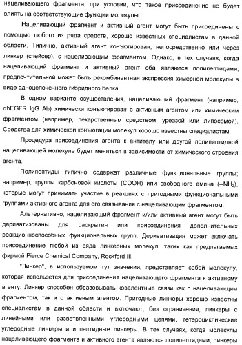 Использование уреазы для ингибирования роста раковых клеток (патент 2326691)
