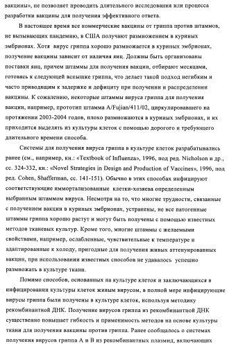Способы и композиции для экспрессии антисмысловой вирусной рнк в клетках собаки (патент 2457250)