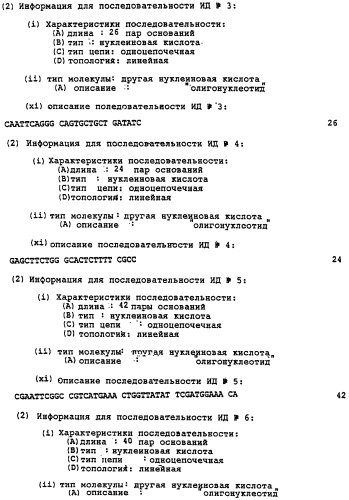 Способ амплификации днк, способ клонирования второй кднк и способ обратной транскрипции днк (патент 2297454)