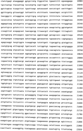 Бактериофаг, обладающий активностью против pseudomonas aeruginosa, белки бактериофага и способы их применения (патент 2580248)