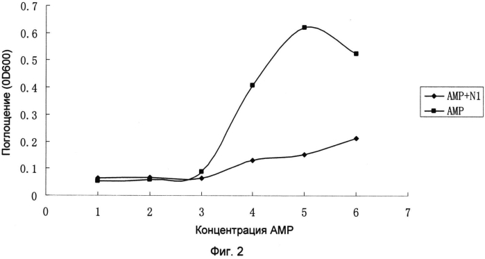 Фармацевтическая композиция, содержащая экстракт жимолости и антибиотик, фармацевтический набор и применение экстракта жимолости для получения лекарственных препаратов (патент 2571281)