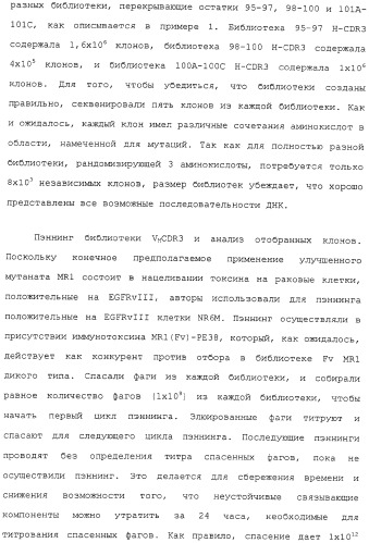 Scfv против egfrviii с улучшенной цитотоксичностью и выходом, иммунотоксины на их основе и способы их применения (патент 2317999)