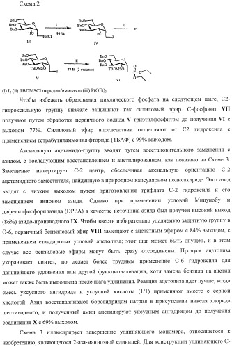 Иммуногены для вакцин против менингита а (патент 2412944)