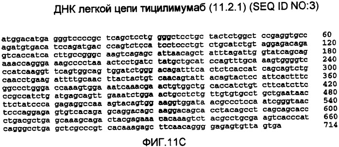 Композиция антител против ctla-4 (патент 2356579)