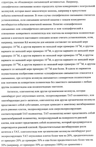 Композиции и способы диагностики и лечения опухоли (патент 2430112)