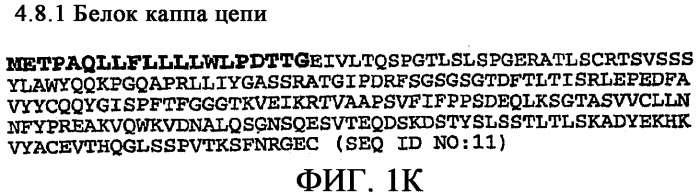 Применение антител к ctla-4 (патент 2346702)