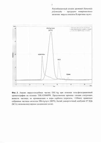 Рекомбинантный штамм дрожжей hansenula polymorpha - продуцент поверхностного антигена вируса гепатита в серотипа "ayw" (патент 2586511)