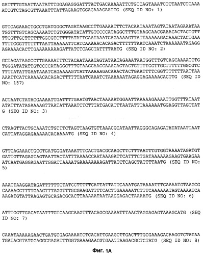 Промоторы lactococcus и их применение: (патент 2495129)
