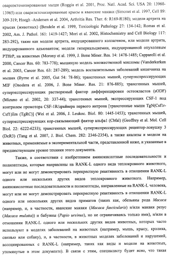 Аминокислотные последовательности, направленные на rank-l, и полипептиды, включающие их, для лечения заболеваний и нарушений костей (патент 2481355)