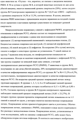 Поливалентные иммуногенные композиции pcv2 и способы получения таких композиций (патент 2488407)