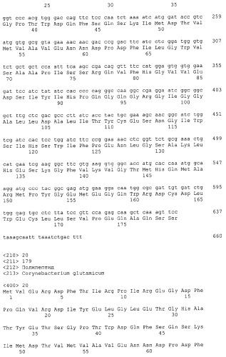 Гены corynebacterium glutamicum, кодирующие белки резистентности и толерантности к стрессам (патент 2303635)