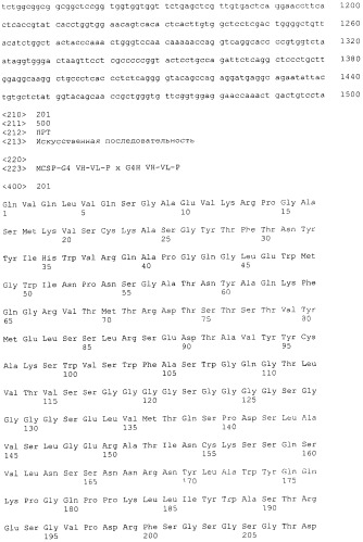 Pscaxcd3, cd19xcd3, c-metxcd3, эндосиалинxcd3, epcamxcd3, igf-1rxcd3 или fap-альфаxcd3 биспецифическое одноцепочечное антитело с межвидовой специфичностью (патент 2547600)