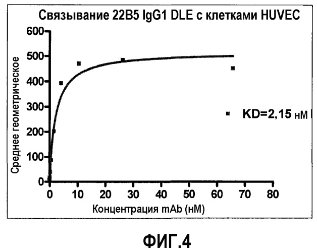 Антитела против альфа5-бета 1 и их применение (патент 2528736)