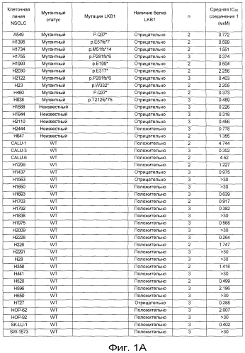 Идентификация мутации lkb1 в качестве прогностического биомаркера чувствительности к ингибиторам tor-киназы (патент 2565034)