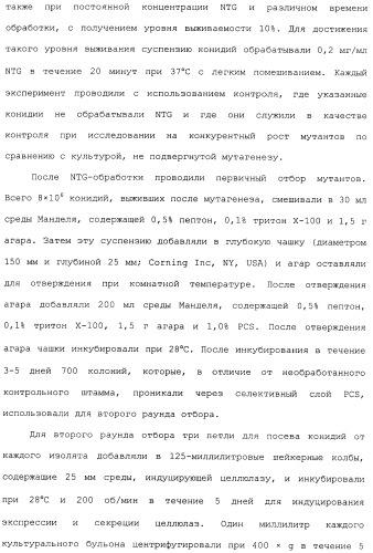 Клетка-хозяин trichoderma reesei для получения целлюлолитической белковой композиции, целлюлолитическая белковая композиция, способы ее получения и применения (патент 2494146)