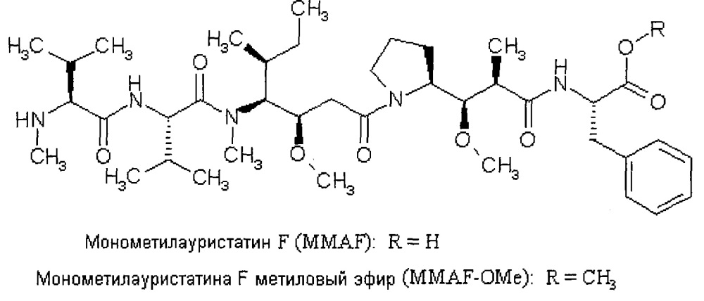 Новые конъюгаты связывающее соединение - активное соединение (adc) и их применение (патент 2610336)