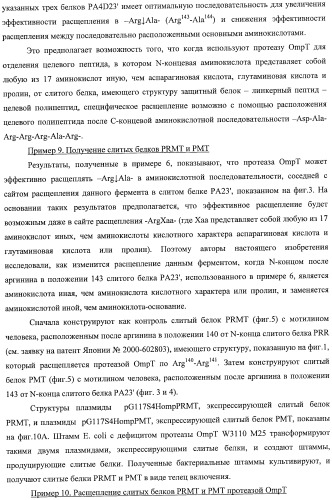 Способ расщепления полипептидов с использованием варианта протеазы оmpт (патент 2395582)