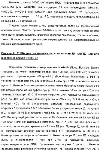 Очищенные оболочечные белки вируса гепатита с для диагностического и терапевтического применения (патент 2319505)