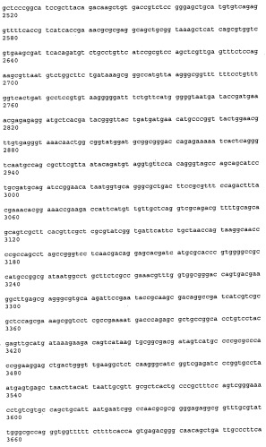 Антитела к рецептору конечных продуктов глубокого гликирования (rage) и их применения (патент 2518351)