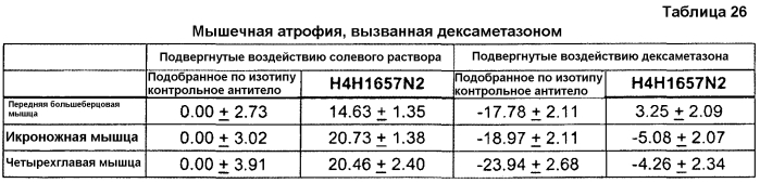 Антитела против gdf8 человека (патент 2567805)