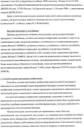 Способ получения l-аминокислот с использованием бактерии, принадлежащей к роду escherichia, в которой инактивирован один или несколько генов, кодирующих малые рнк (патент 2395567)