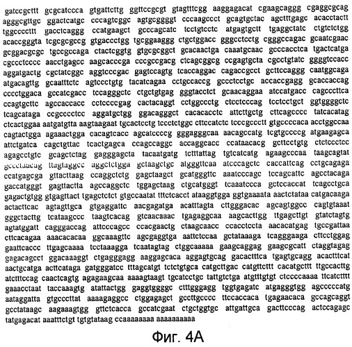 Способы выявления воспалительного заболевания кишечника (патент 2502806)