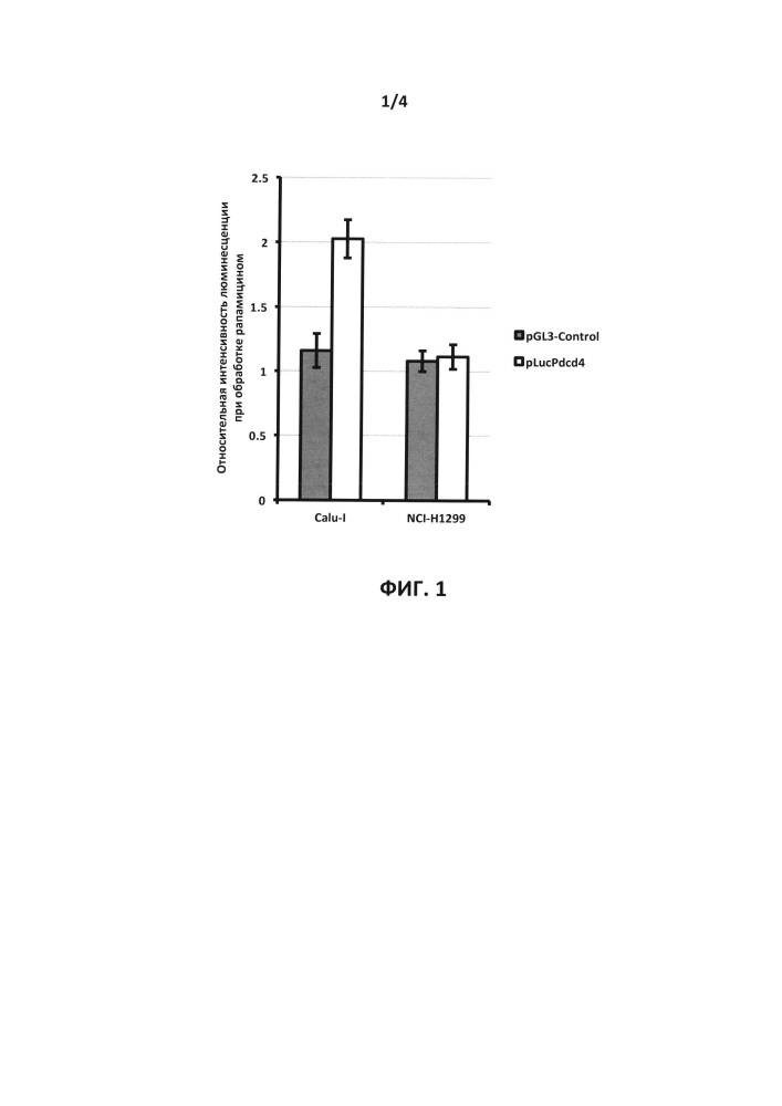 Способ выявления ингибиторов супрессии супрессора опухолевого роста pdcd4 в опухолевых клетках и генетическая конструкция plucpdcd4 для его осуществления (патент 2640909)