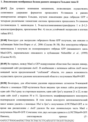 Набор последовательностей для таргетинга экспрессии и контроля посттрансляционных модификаций рекомбинантного полипептида (патент 2481399)