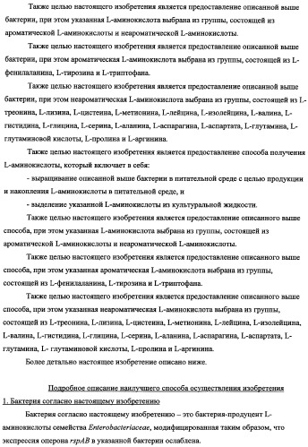 Способ получения l-треонина с использованием бактерии, принадлежащей к роду escherichia, в которой инактивирован оперон rspab (патент 2337961)