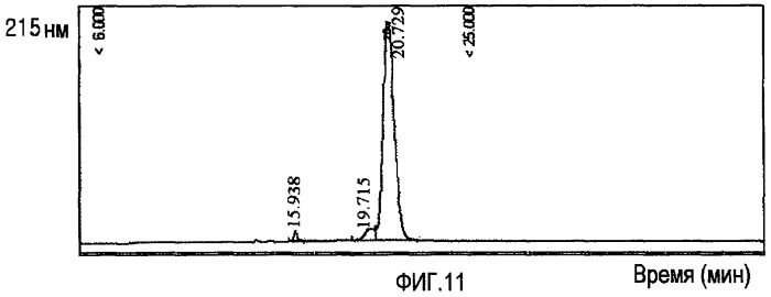 Инсулинотропный комплекс, в котором использован фрагмент иммуноглобулина (патент 2436589)