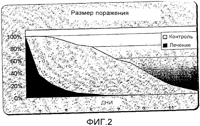 Способы и устройства для лечения поражений кожи (патент 2368347)