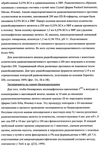 Избирательный направленный перенос в сосудистую сеть опухоли с использованием молекул антител (патент 2347787)