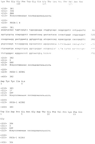 Pscaxcd3, cd19xcd3, c-metxcd3, эндосиалинxcd3, epcamxcd3, igf-1rxcd3 или fap-альфаxcd3 биспецифическое одноцепочечное антитело с межвидовой специфичностью (патент 2547600)