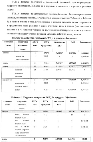 Изолированные полипептиды, кодирующие их полинуклеотиды, экспрессирующие их трансгенные растения и способы их использования (патент 2425151)