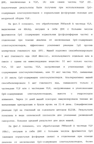 Композиции, содержащие cpg-олигонуклеотиды и вирусоподобные частицы, для применения в качестве адъювантов (патент 2322257)