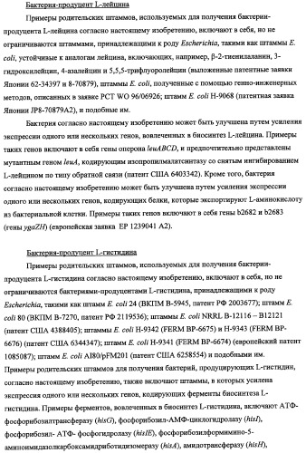 Способ получения l-треонина с использованием бактерии, принадлежащей к роду escherichia, в которой инактивирован кластер генов sfmacdfh-fimz или ген fimz (патент 2333953)