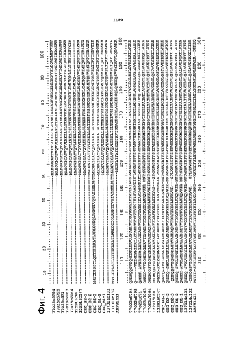 Клонирование и использование функционального r-гена из solanum chacoense (патент 2586509)