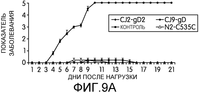 Вакцины против вируса простого герпеса (патент 2575067)