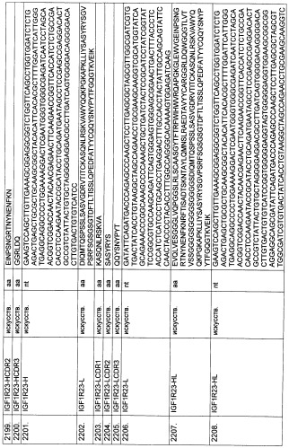 Pscaxcd3, cd19xcd3, c-metxcd3, эндосиалинxcd3, epcamxcd3, igf-1rxcd3 или fap-альфаxcd3 биспецифическое одноцепочечное антитело с межвидовой специфичностью (патент 2547600)