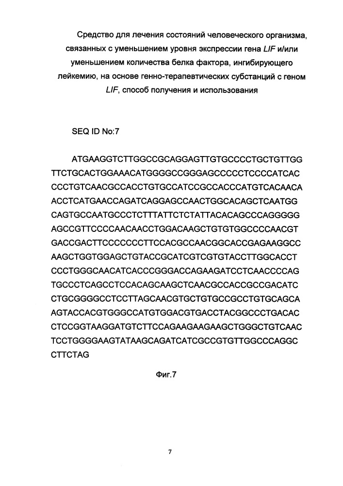 Средство для лечения состояний человеческого организма, связанных с уменьшением уровня экспрессии гена lif и/или уменьшением количества белка фактора, ингибирующего лейкемию, на основе генно-терапевтических субстанций с геном lif, способ получения и использования (патент 2653487)