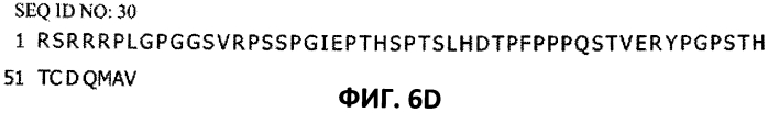 Новая дельта-9-элонгаза для получения масел, обогащенных полиненасыщенными жирными кислотами (патент 2558302)