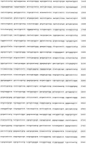 Нитрилгидратаза из rhodococcus (патент 2385932)