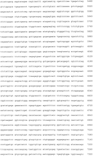 Конструкции нуклеиновой кислоты, содержащие кластер генов биосинтеза пирипиропена и маркерный ген (патент 2576001)