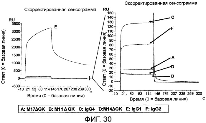 Способ модификации изоэлектрической точки антитела с помощью аминокислотных замен в cdr (патент 2510400)