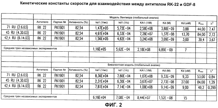 Антитела к gdf8 и их применения (патент 2447084)