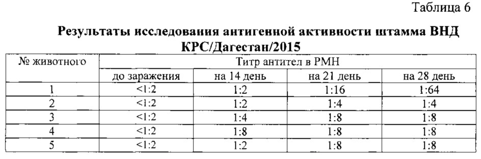 Штамм вируса нодулярного дерматита крупного рогатого скота dermatitis nodularis bovum, рода capripoxvirus для изготовления биопрепаратов для диагностики и специфической профилактики нодулярного дерматита крупного рогатого скота (патент 2606254)