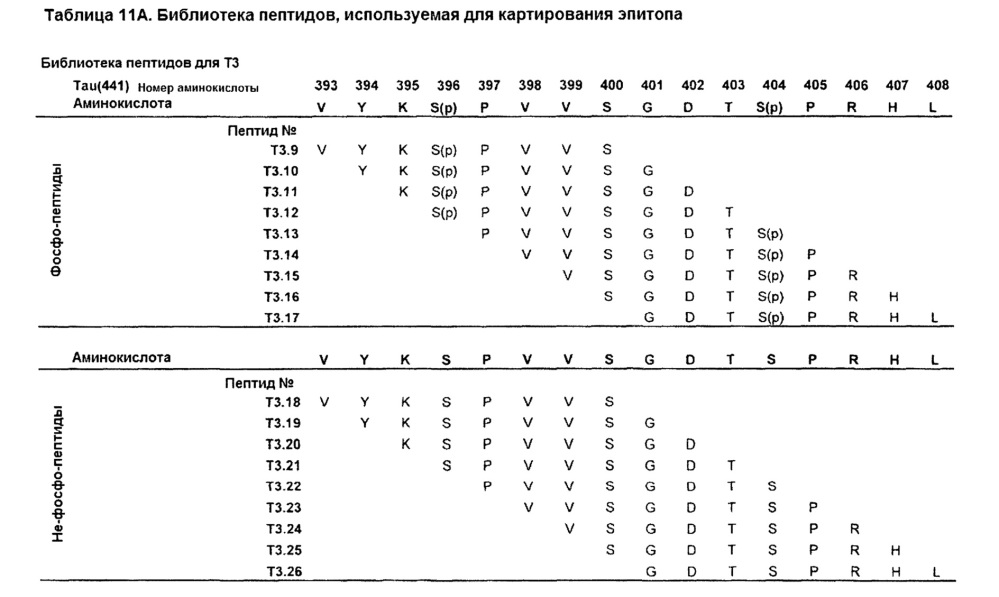 Фосфоспецифичные антитела, распознающие тау (патент 2639537)