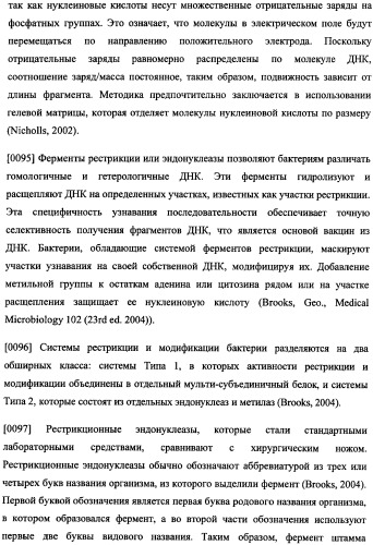 Иммуногенная композиция и способ разработки вакцины, основанной на участках связывания фактора н (патент 2364413)