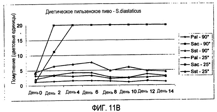 Микробиологически стабилизированное пиво (патент 2380400)